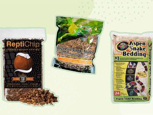 A collage of snake bedding options we recommend on a green background
