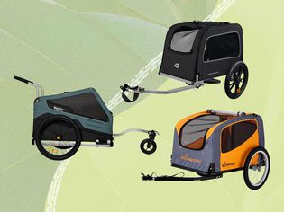 Bike trailers for dogs we recommend on a green background
