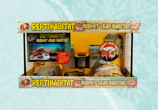 A hermit crab habitat we recommend on a blue background