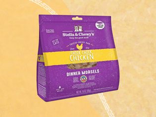 Raw dog food we recommend on an orange background