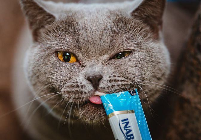 Inaba Churu Cat Food Topper and Treat