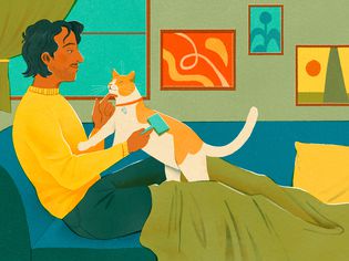 illustration of man grooming white and orange cat