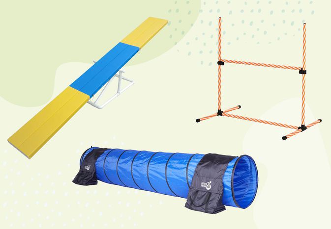 A variety of dog agility equipment on a green background