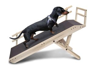 Doggo Couch Ramp