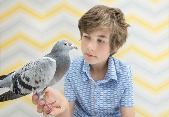 Pigeon in boy's hand