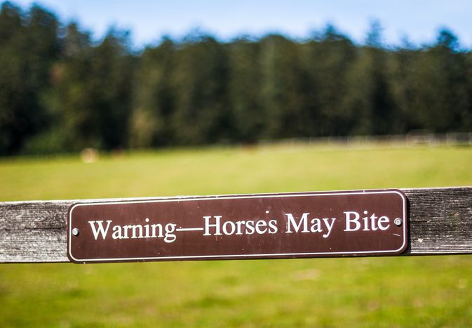 A sign saying 'Warning-Horses May Bite' with trees and grass in the background.
