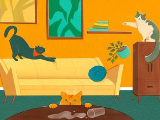 illo of three cats wrecking havoc 
