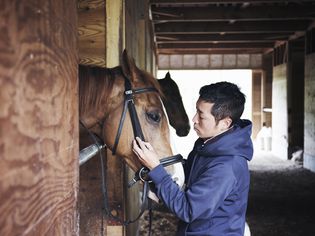 Man working in a horse stable