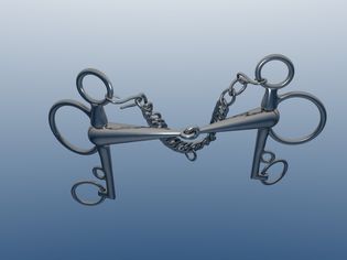 A pelham bit.