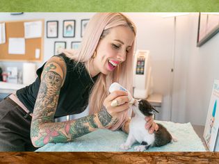 kitten lady photo treatment