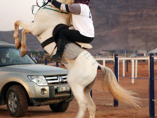 Rider on Rearing Horse
