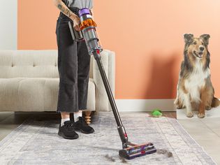 A person using a Dyson V15 Detect Cordless Vacuum Cleaner to clean fur off a rug