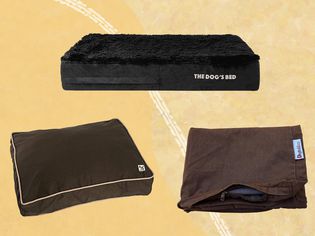 Dog bed covers we recommend on an orange background