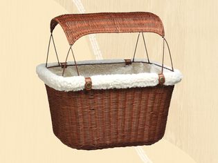 A dog bike basket we recommend on a yellow background