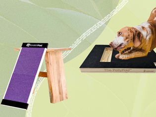 Dog scratch pads we recommend on a green background