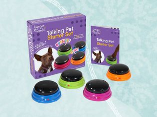 Dog talking buttons we recommend on a blue background