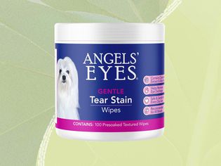 Dog tear stain remover we recommend on a green background