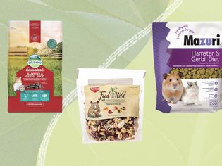 Amazon Oxbow Essentials All Natural Hamster and Gerbil Food