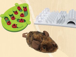 Interactive cat toys we recommend on a yellow background