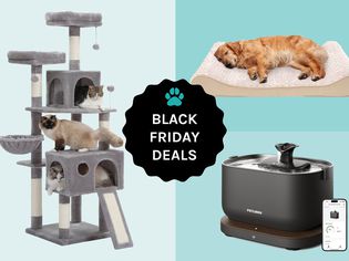 Black Friday Deals: Cat Tower, Dog Bed, Water fountain