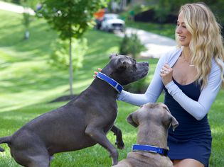 Brittany Mahomes spends time in yard with dogs Steel and Silver, am american pit bull terrier and a Cane Corso