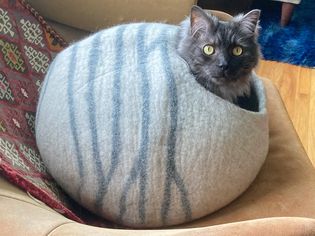 A cat inside of the Meowfia Premium Felt Cat Cave Bed
