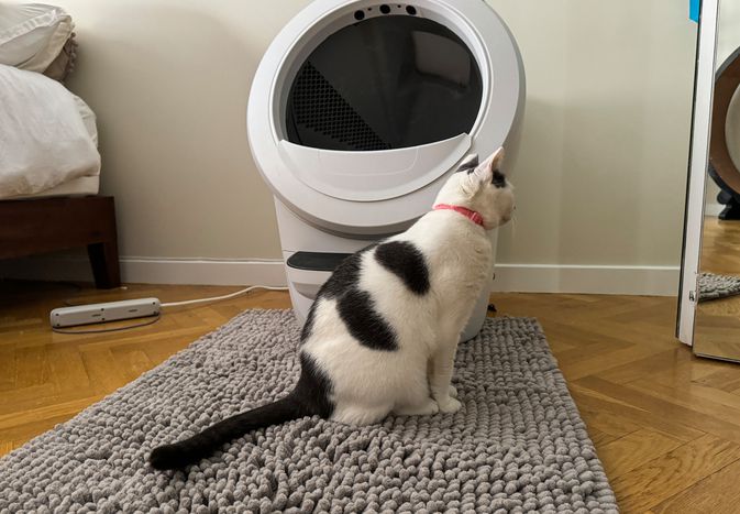 A cat sits on the CatGuru Litter Mat in front of a litter box