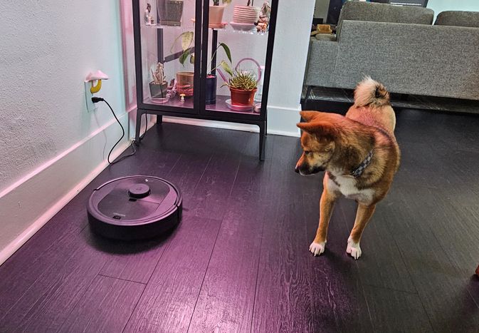 A dog looks at the Roborock Q5 Robot Vacuum with Strong 2700Pa Suction