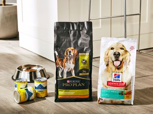 3 Best dog foods for weight loss