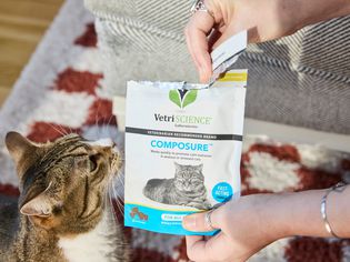 A person opening a pack of VetriScience Composure Calming Treats for Cats with their cat watching