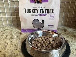 Vital Essentials Freeze-Dried Entree Mini Nibs Dog Food in a bowl