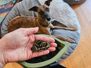 A hand holding Ziwi Peak Air-Dried Original Series in front of a dog 