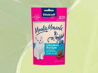 Best Pill Pockets For Cats