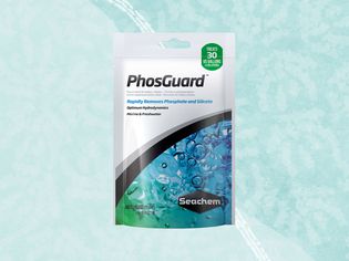 A phosphate remover we recommend on a blue background