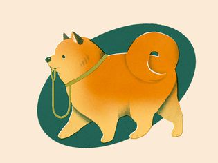 illo of dog holding their own leash