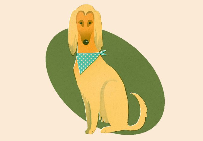illo of dog with blonde hears and hankerchief 