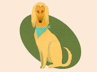 illo of dog with blonde hears and hankerchief 