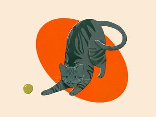 Illo of grey cat playing with a ball in front of beige background