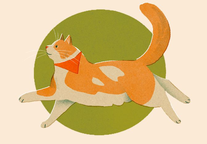 illo of cat running in front of beige and green background