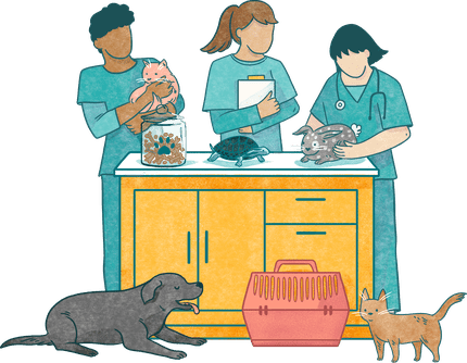 illustration of three vets taking care of various animals on a table